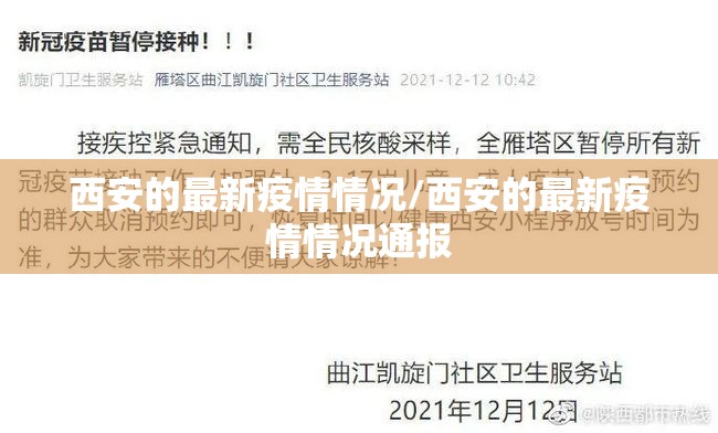 【重庆造型树行情,重庆广干树售卖】