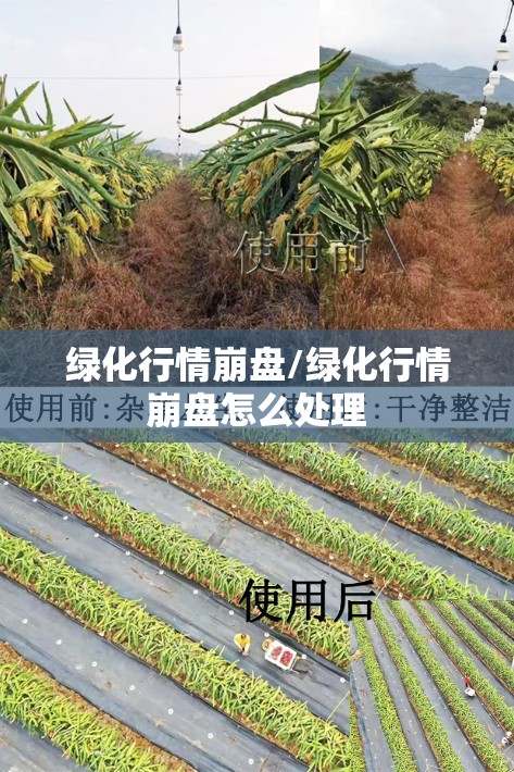 【世界黄金走势图,黄金走势图】