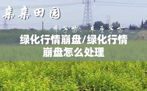 绿化行情崩盘/绿化行情崩盘怎么处理