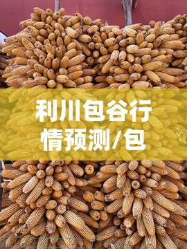 利川包谷行情预测/包谷费用今日价 利川包谷行情预测/包谷费用今日价