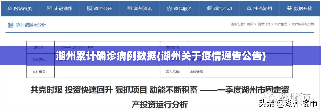 湖州累计确诊病例数据(湖州关于疫情通告公告)