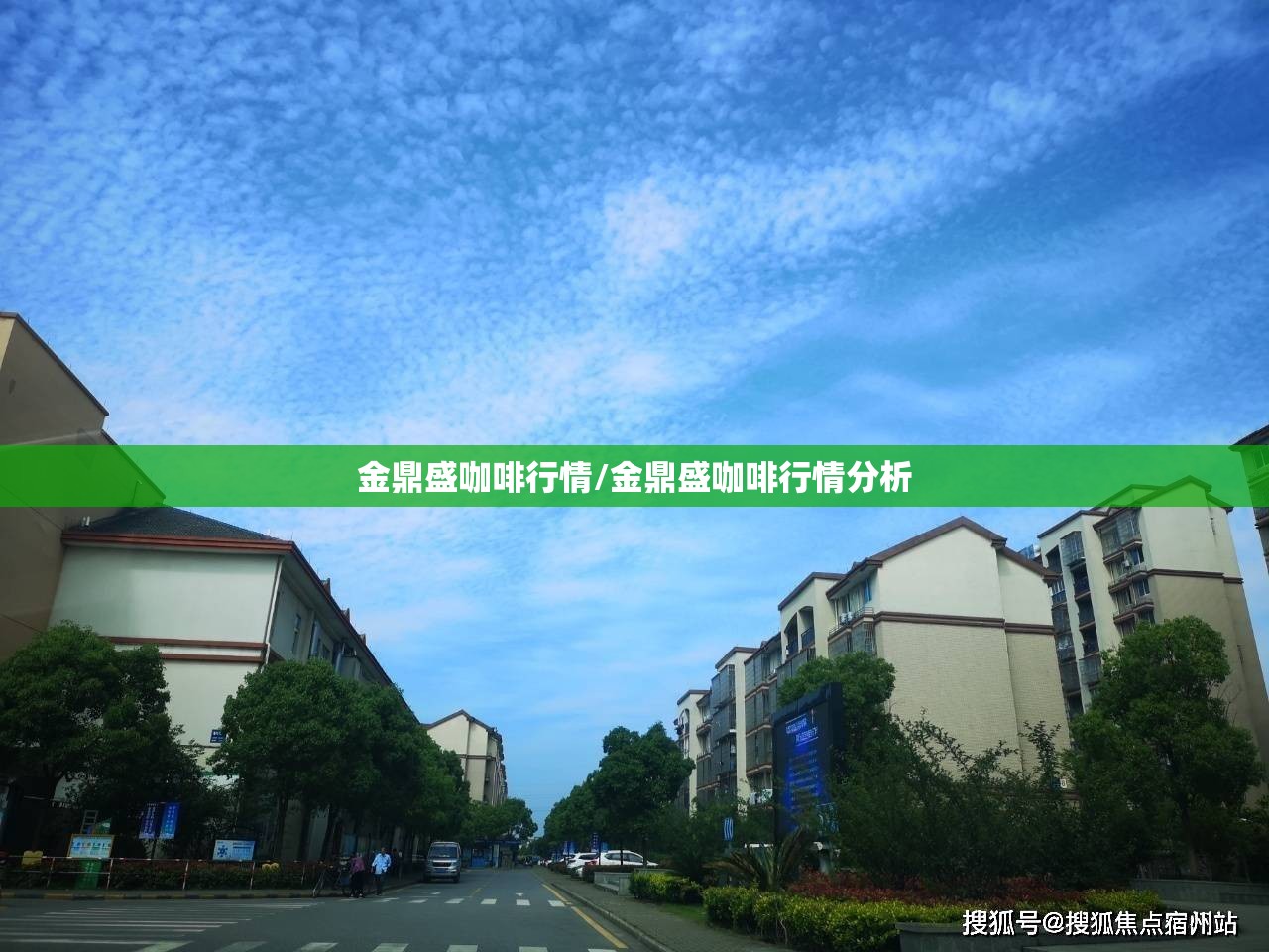 金鼎盛咖啡行情/金鼎盛咖啡行情分析