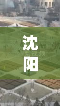 沈阳进入战时状态(沈阳进入战时状态了吗)