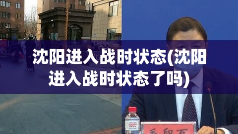 沈阳进入战时状态(沈阳进入战时状态了吗)