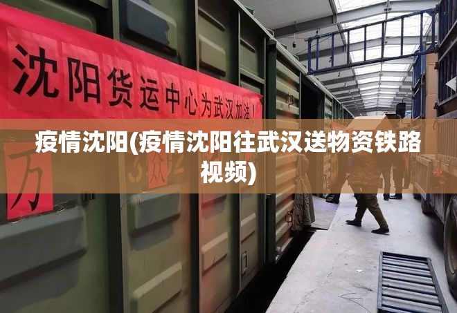 疫情沈阳(疫情沈阳往武汉送物资铁路视频)
