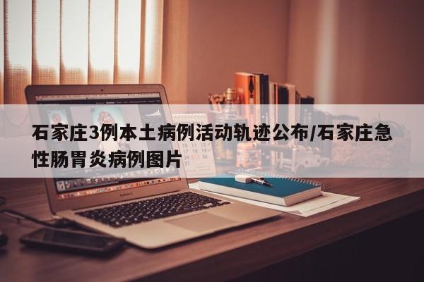 石家庄3例本土病例活动轨迹公布/石家庄急性肠胃炎病例图片