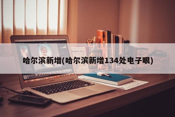 哈尔滨新增(哈尔滨新增134处电子眼)