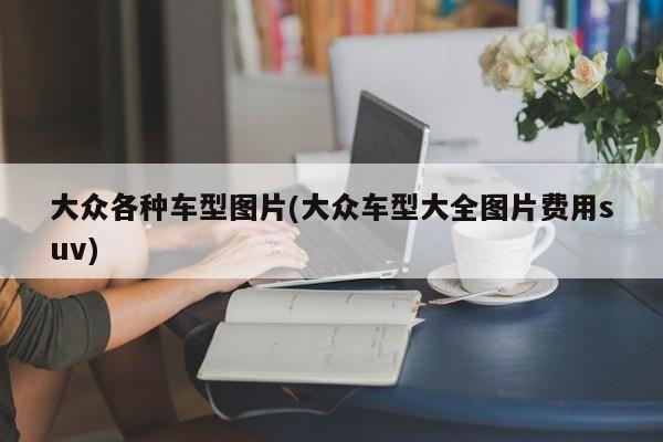 大众各种车型图片(大众车型大全图片费用suv)