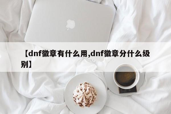 【dnf徽章有什么用,dnf徽章分什么级别】